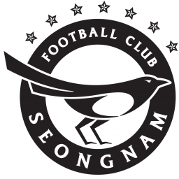 城南FC vs 金海
