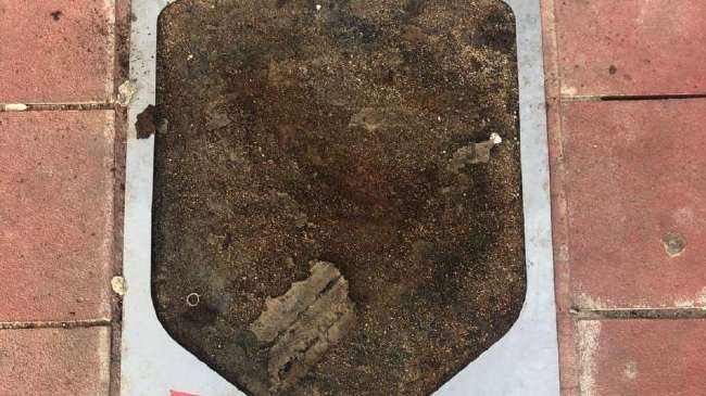 苏格兰vs 巴西视频直播_苏格兰vs 巴西无插件直播_苏格兰vs 巴西世界杯直播
