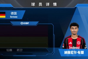 法兰克福布朗集锦：速度奇快的边卫！右边锋的噩梦！