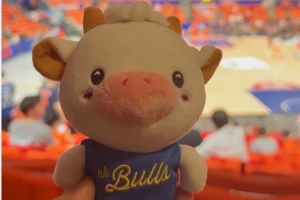 香港金牛队当家球星“La Bull Bull”将体验CBA总决赛的激情与氛围