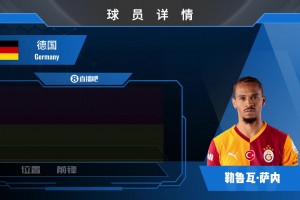 萨内集锦：已奔赴土超！游走在两路的德意志边路游侠
